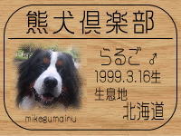 ���݂�����̂g�o�ւf�n�I